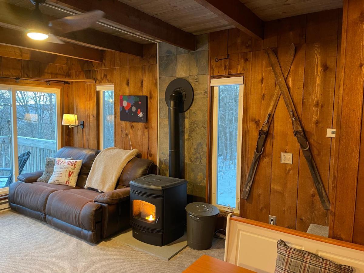 Mandy'S Mountain Chalet Dover Экстерьер фото