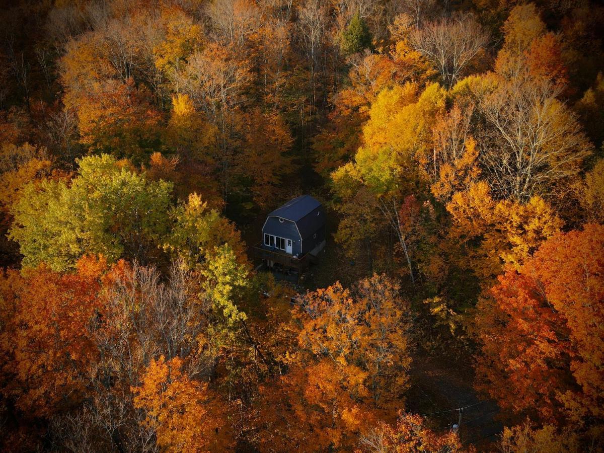 Mandy'S Mountain Chalet Dover Экстерьер фото