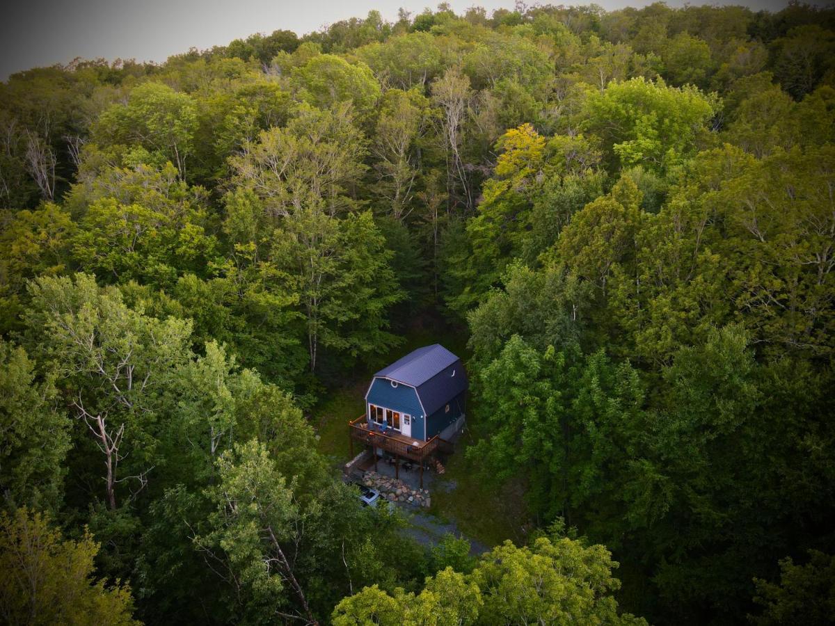 Mandy'S Mountain Chalet Dover Экстерьер фото
